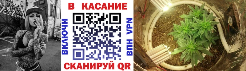 Сколько стоит Щучье ГАШИШ APVP Мефедрон