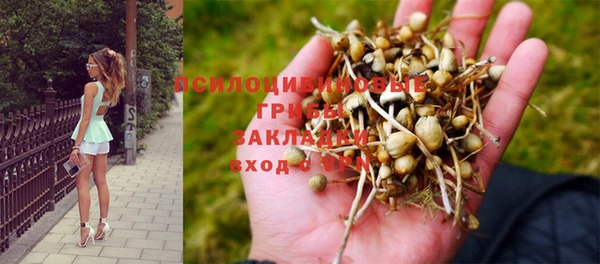 каннабис Абинск