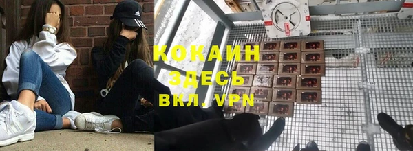 тгк Алексин