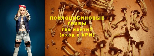 дурь Алексеевка