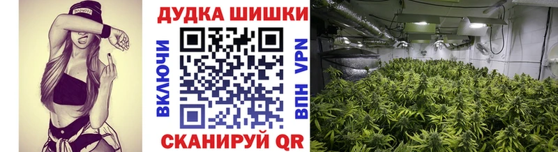 Конопля планчик  гидра ссылки  Щучье 